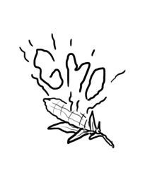 gmo.png